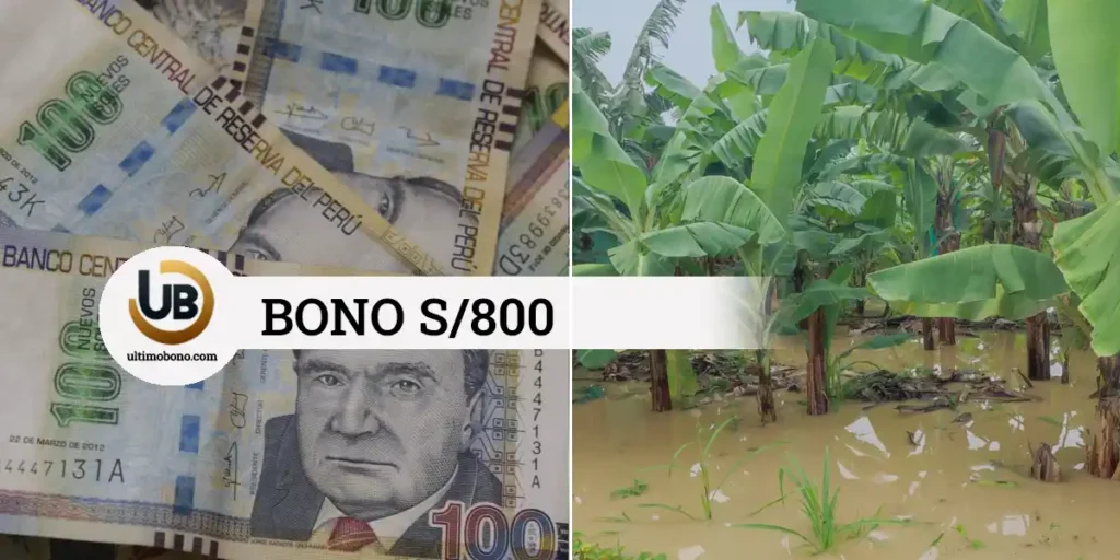 Bono Catastrófico 2024, requisitos, 800 soles, Midagri