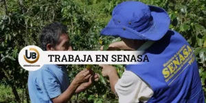 Convocatoria Senasa 2024, link de convocatoria, requisitos