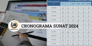 Cronograma Sunat 2024