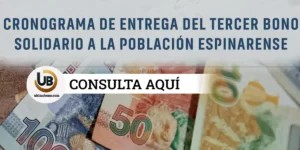 Tercer Bono Espinar 2024 Link Consulta Dni