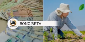 Bono BETA 2023, cómo solicitarlo, requisitos