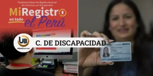 certificado de discapacidad virtual 2024, requisitos, link, minsa