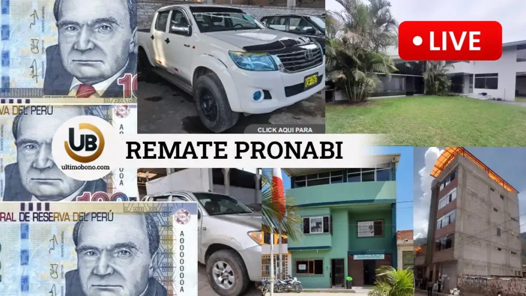 Subasta Pronabi abril 2024