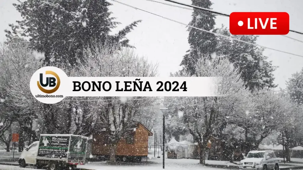 bono leña 2024 chile, Bono calefacción en Chile