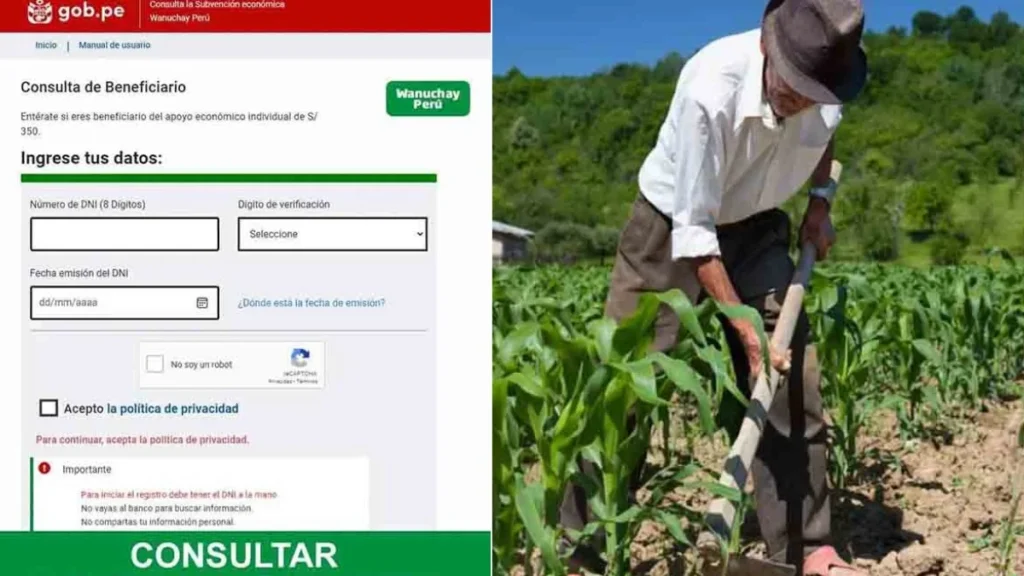 Bono 350 consultar con DNI 2024