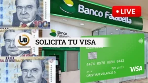 visa falabella 2024, Requisitos