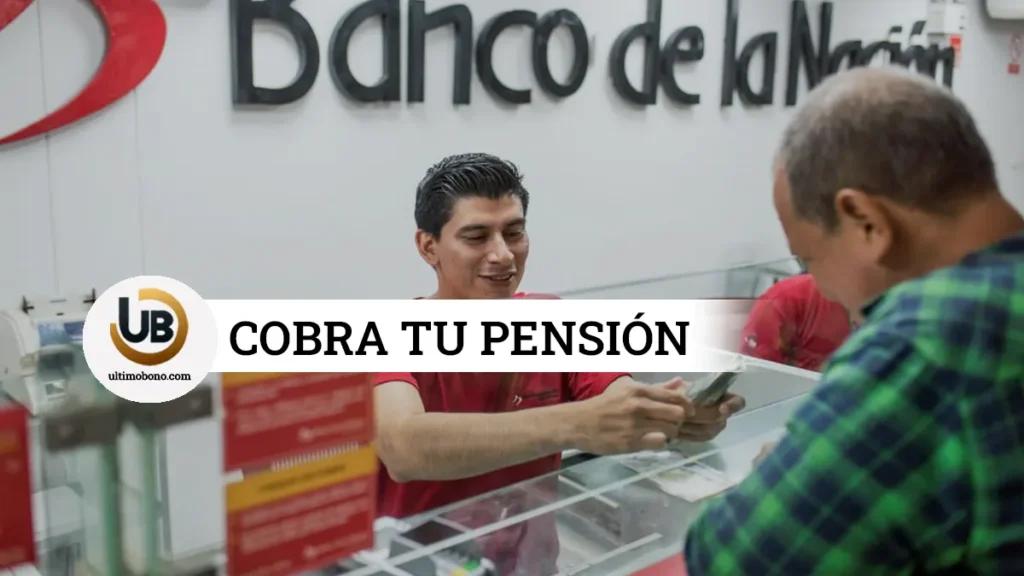 Pago Onp Mayo 2024
