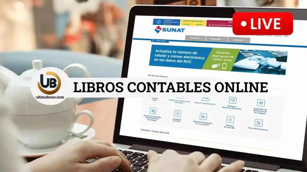 Contabilidad Sunat 2024