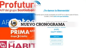 Nuevo cronograma solicitud AFP 2024