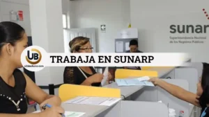 convocatoria Sunarp 2024
