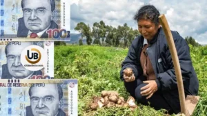 Caja Cusco para agricultores