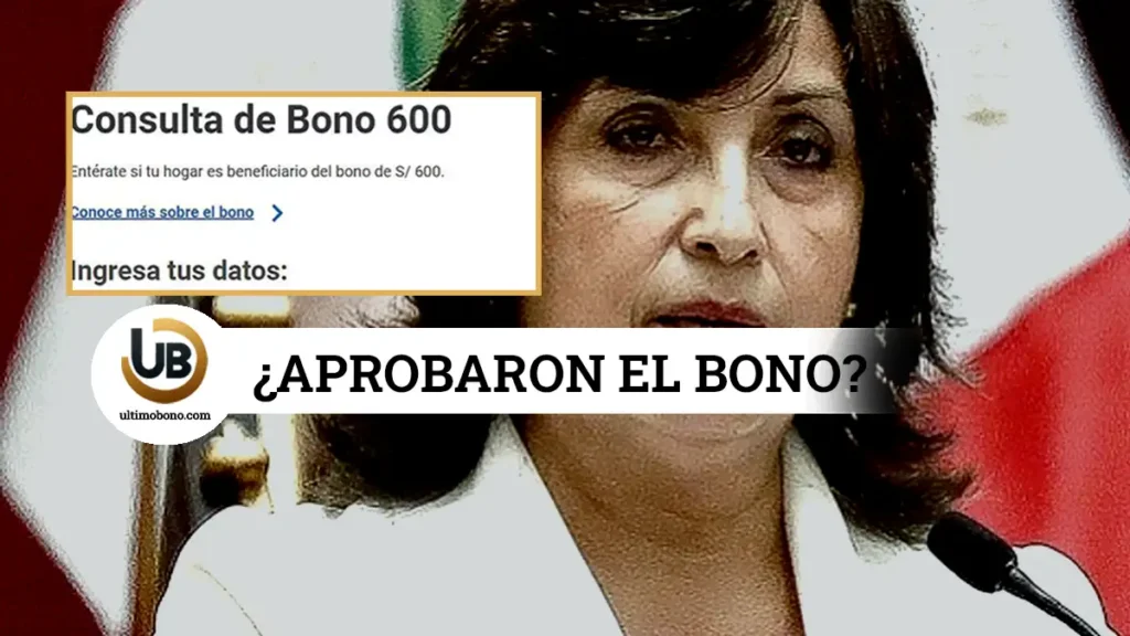 www bono 600 gob pe consulta 2024 | dina boluarte