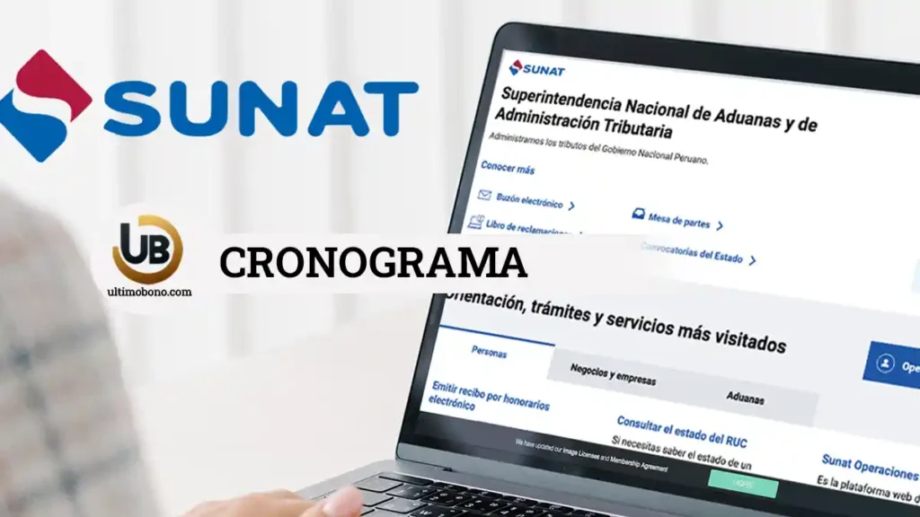 cronograma de declaraciones sunat agosto 2024