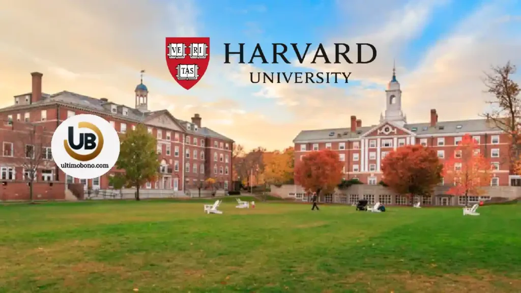 curso informática Harvard 2024