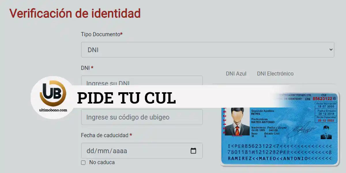 Certificado único laboral para adultos