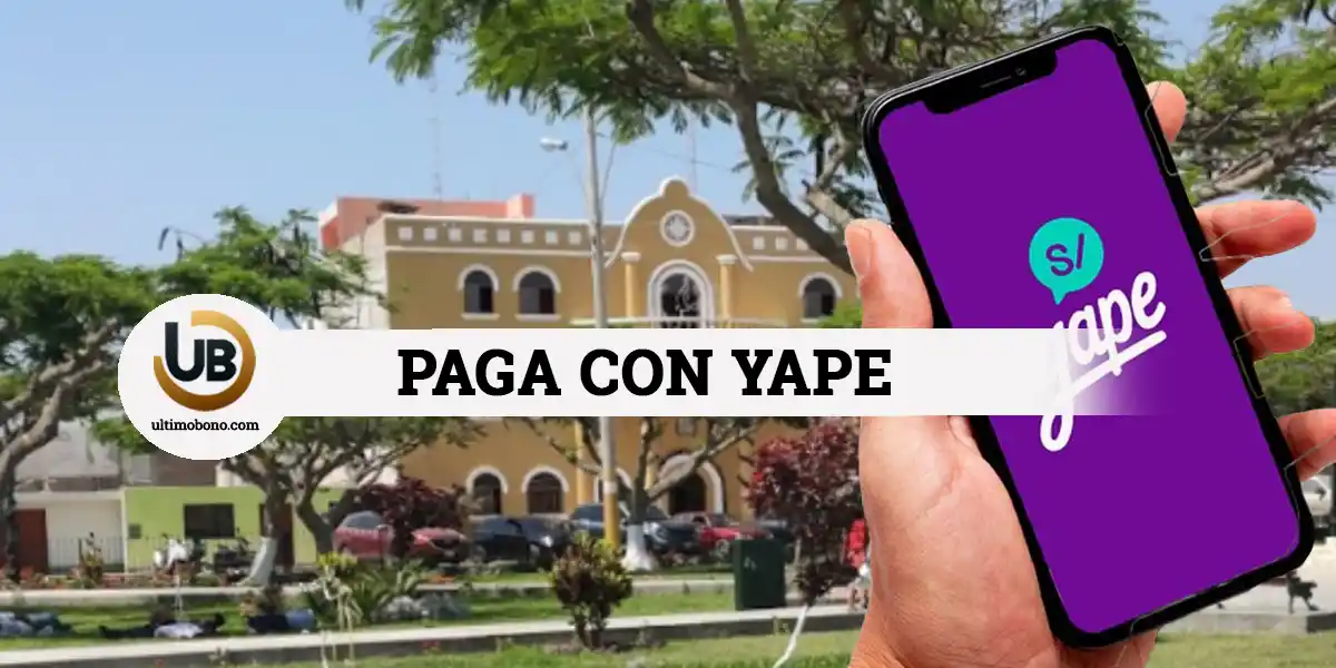 Cómo pagar mis arbitrios en la Municipalidad de Asia con Yape