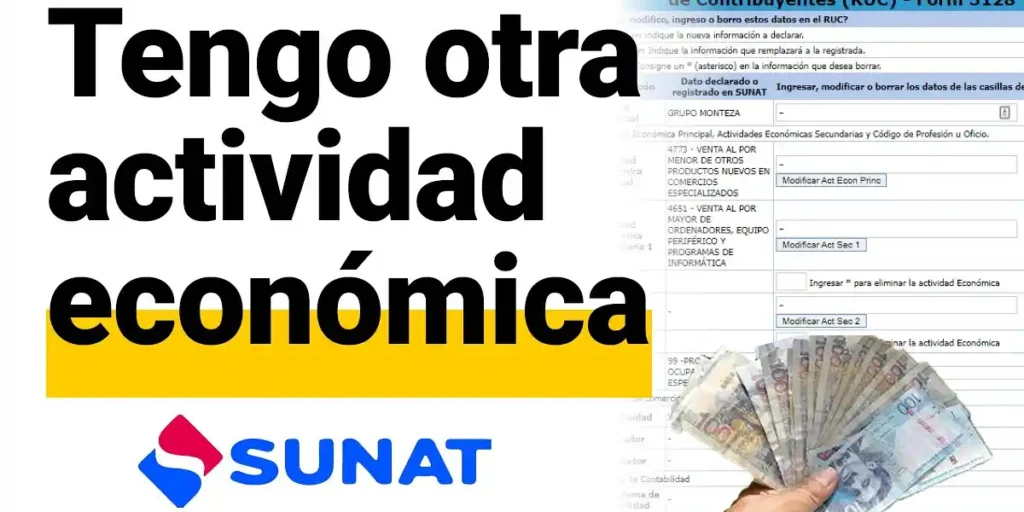 actualizar actividad económica en el ruc