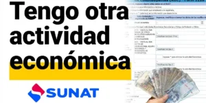 actualizar actividad económica en el ruc