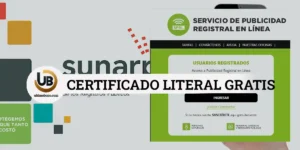 copia literal de Sunarp online gratis