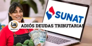 formulario 1707 sunat Cómo solicitar el fraccionamiento especial