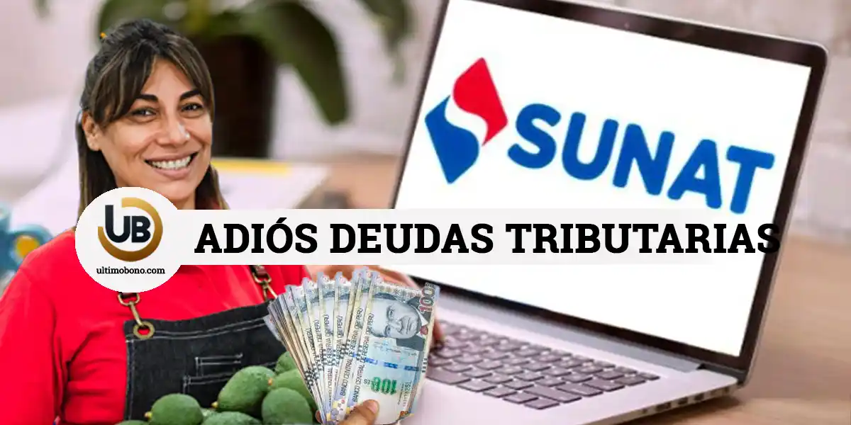 formulario 1707 sunat Cómo solicitar el fraccionamiento especial