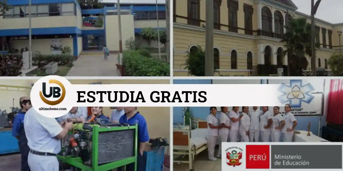 institutos públicos en Lima