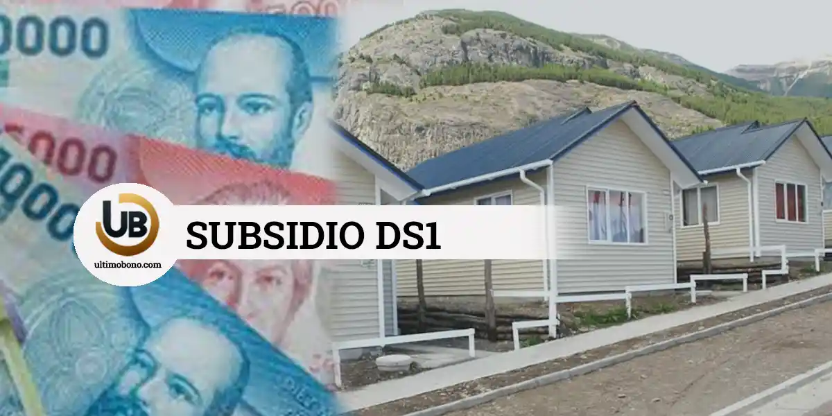 postular al subsidio DS1