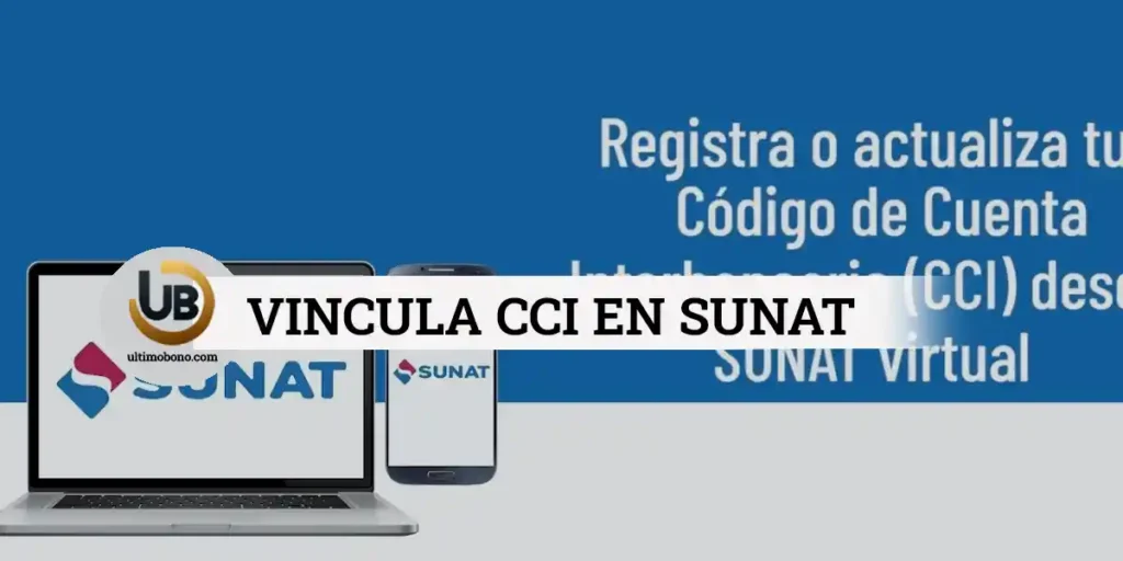 vincular cci con ruc