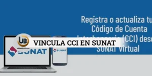 vincular cci con ruc