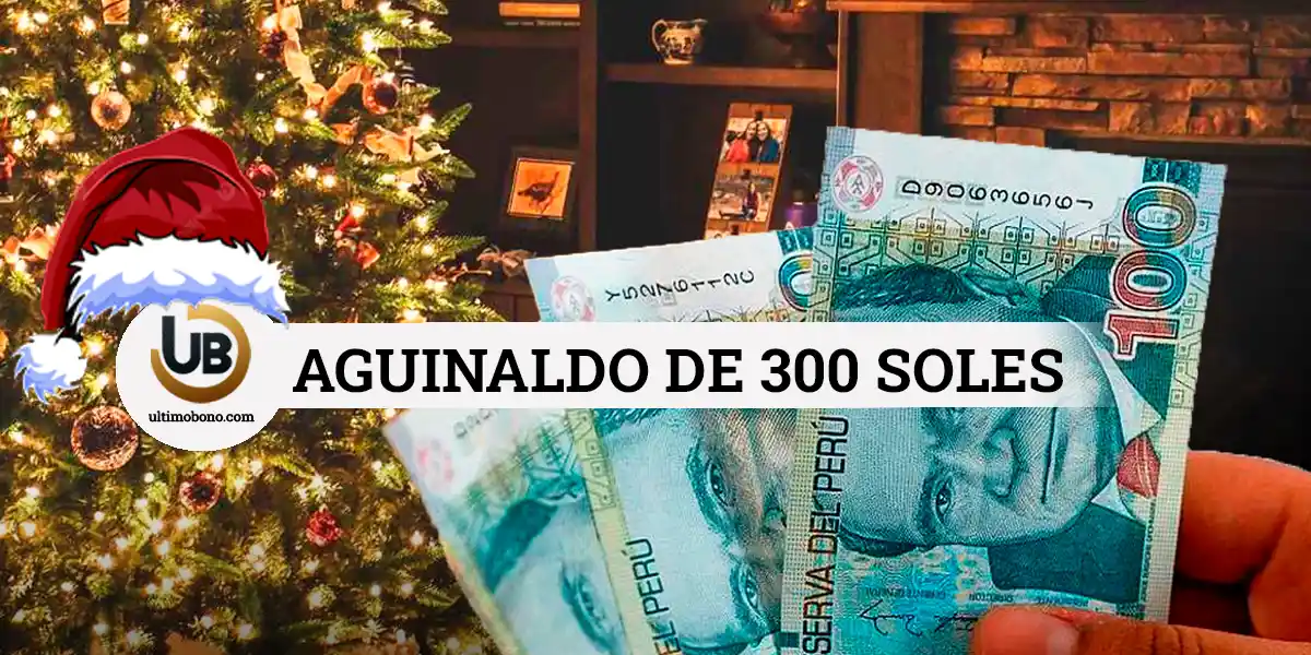 Aguinaldo de diciembre 2024