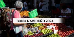 Bono Navidad Alegre 2024